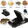 Plastic Mouse Trap, Pack Of 4